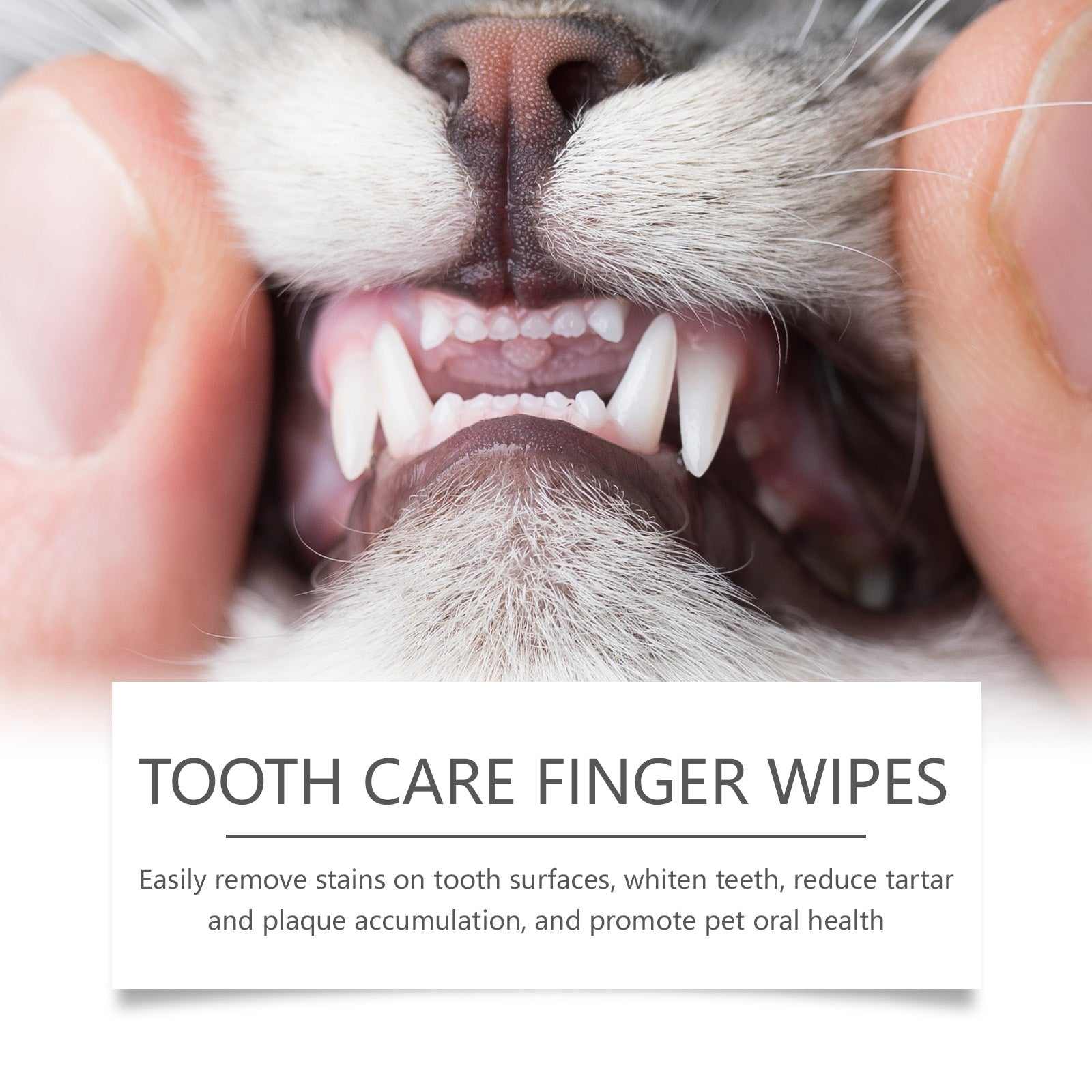 Yegbong Cat And Dog Tooth Wipes, Pet Tooth Cleaning Tartar Clean Repair Fresh Care Fingercover