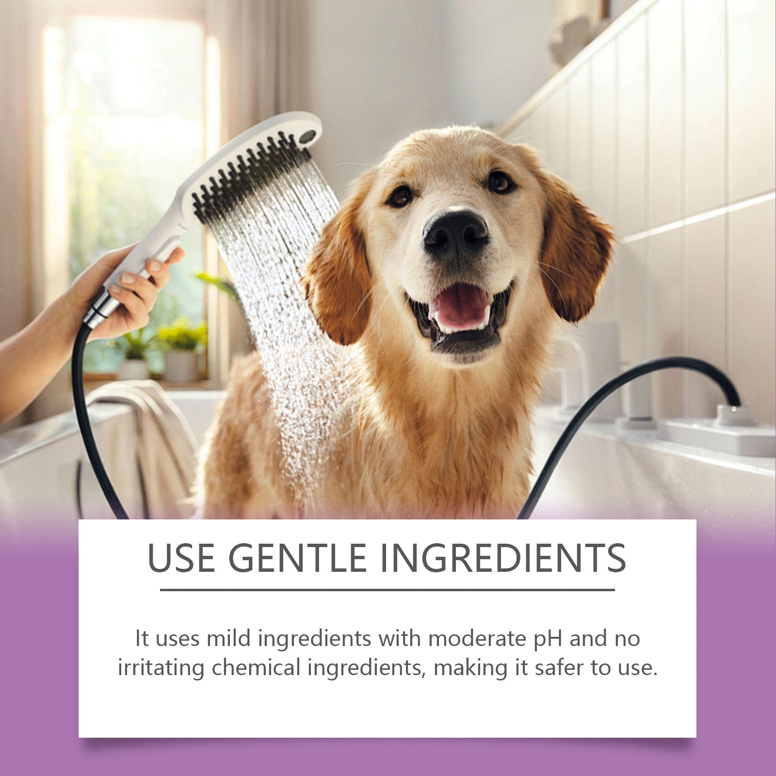 Yegbong Pet Lavender Shampoo Gently Cleans Pet Cat And Dog Hair Fluffy Smooth And Fragrant