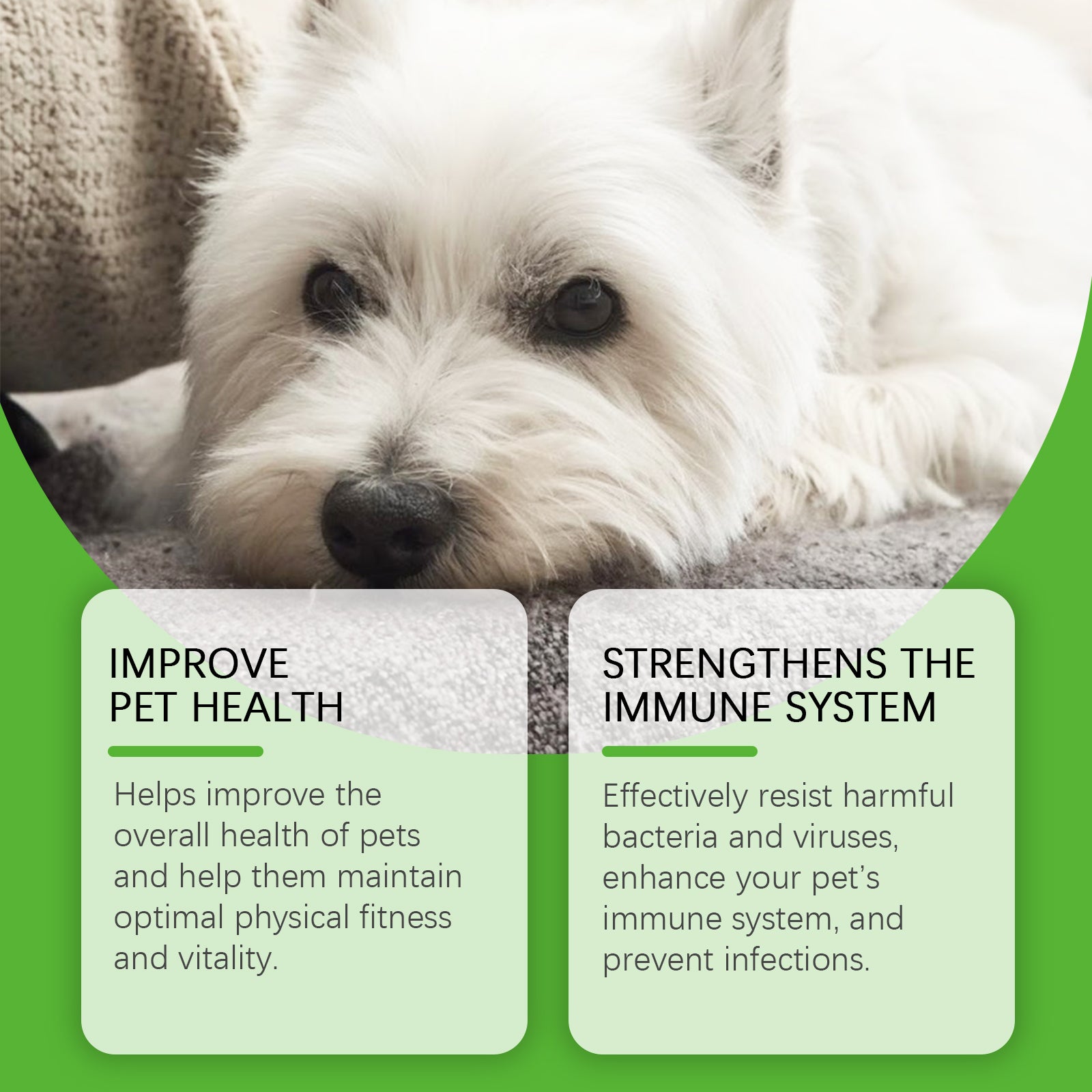 Yegbong Dietary Supplements For Dogs, To Promote Pet Health Pet Dogs Special Dietary Supplements