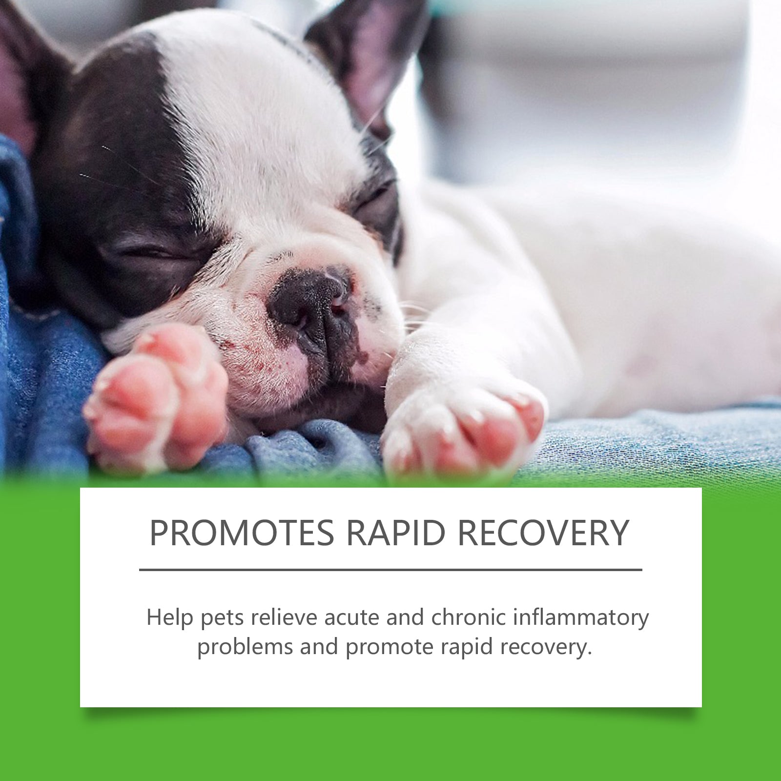 Yegbong Dietary Supplements For Dogs, To Promote Pet Health Pet Dogs Special Dietary Supplements