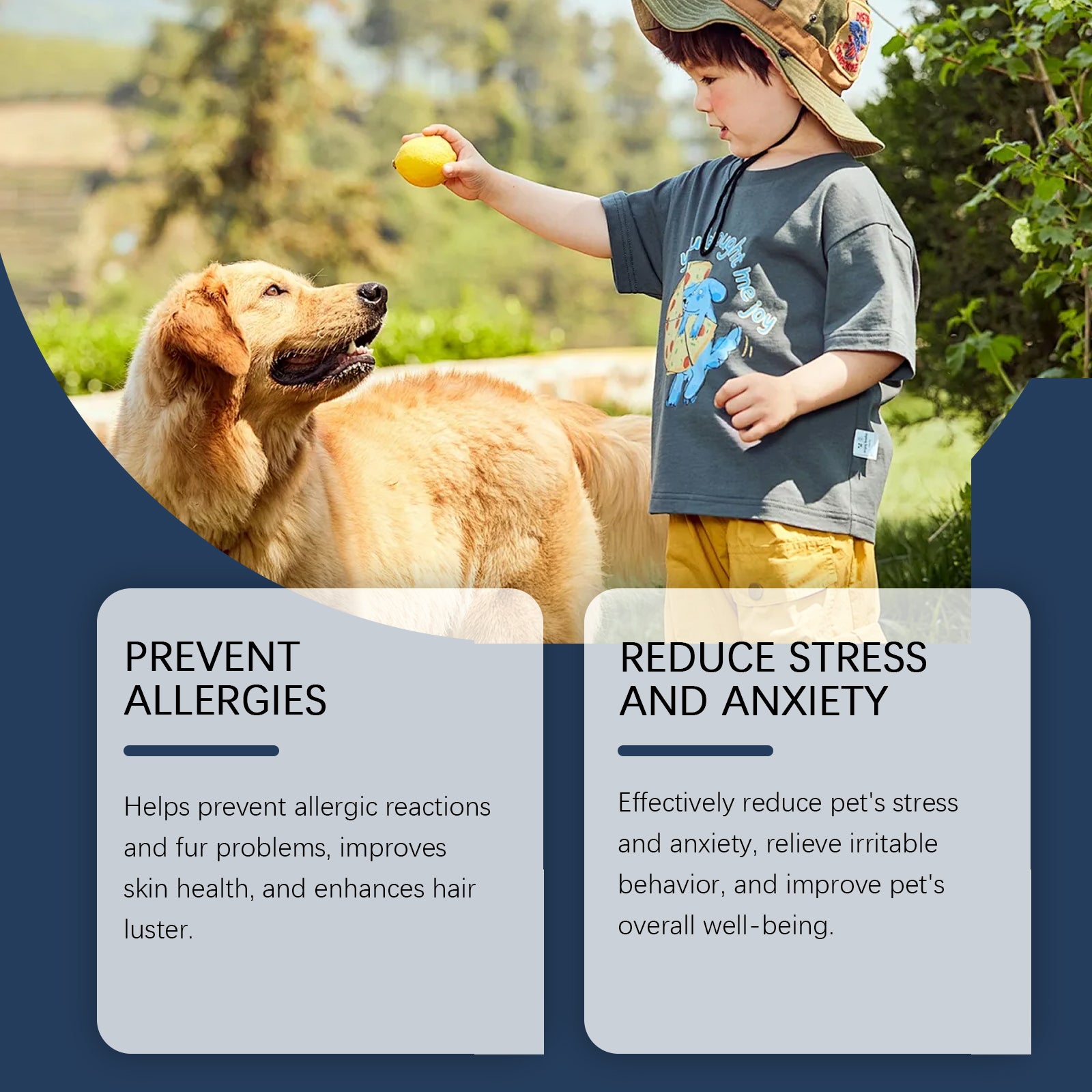 Yegbong Food Supplement For Dogs, Immune-Boosting Healthy Dietary Supplement For Dogs