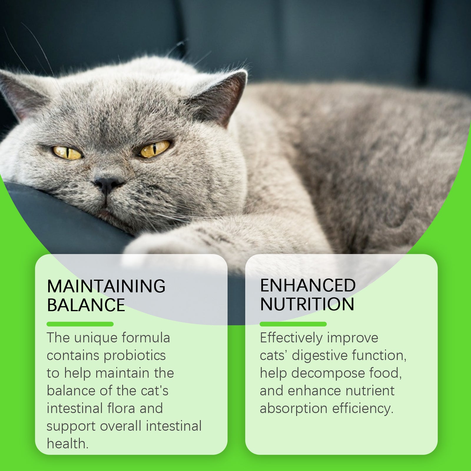 Yegbong Cats With Probiotic Drops, Care For Cats Health And Vitality Care Absorb Nutritional Supplements
