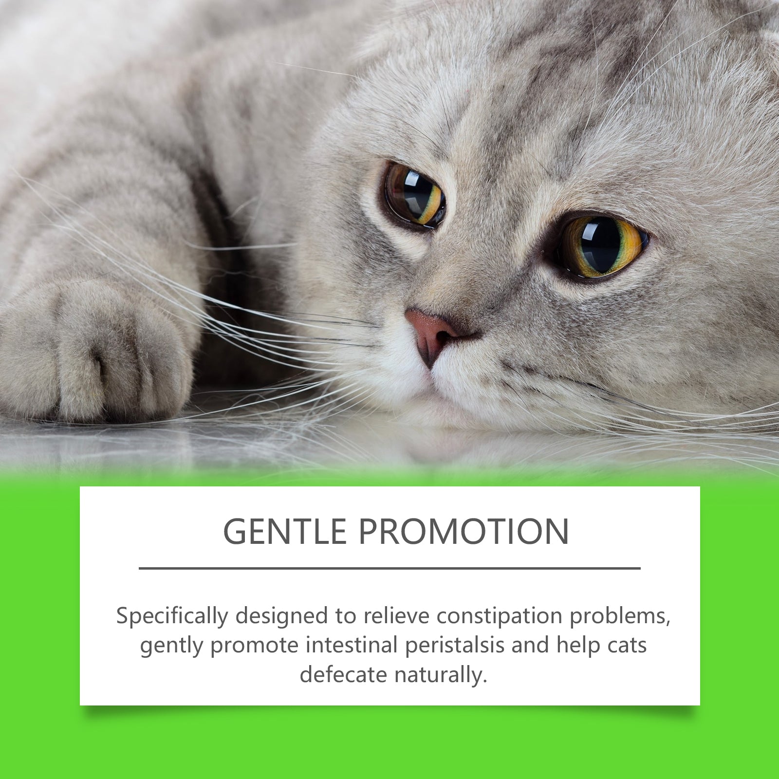 Yegbong Cats With Probiotic Drops, Care For Cats Health And Vitality Care Absorb Nutritional Supplements