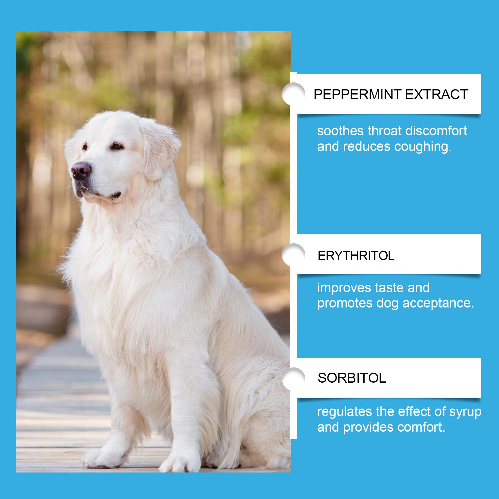 Yegbong Dog Syrup, Pet Dogs Absorb Nutrition Care Health Special Maintenance Supplement Syrup
