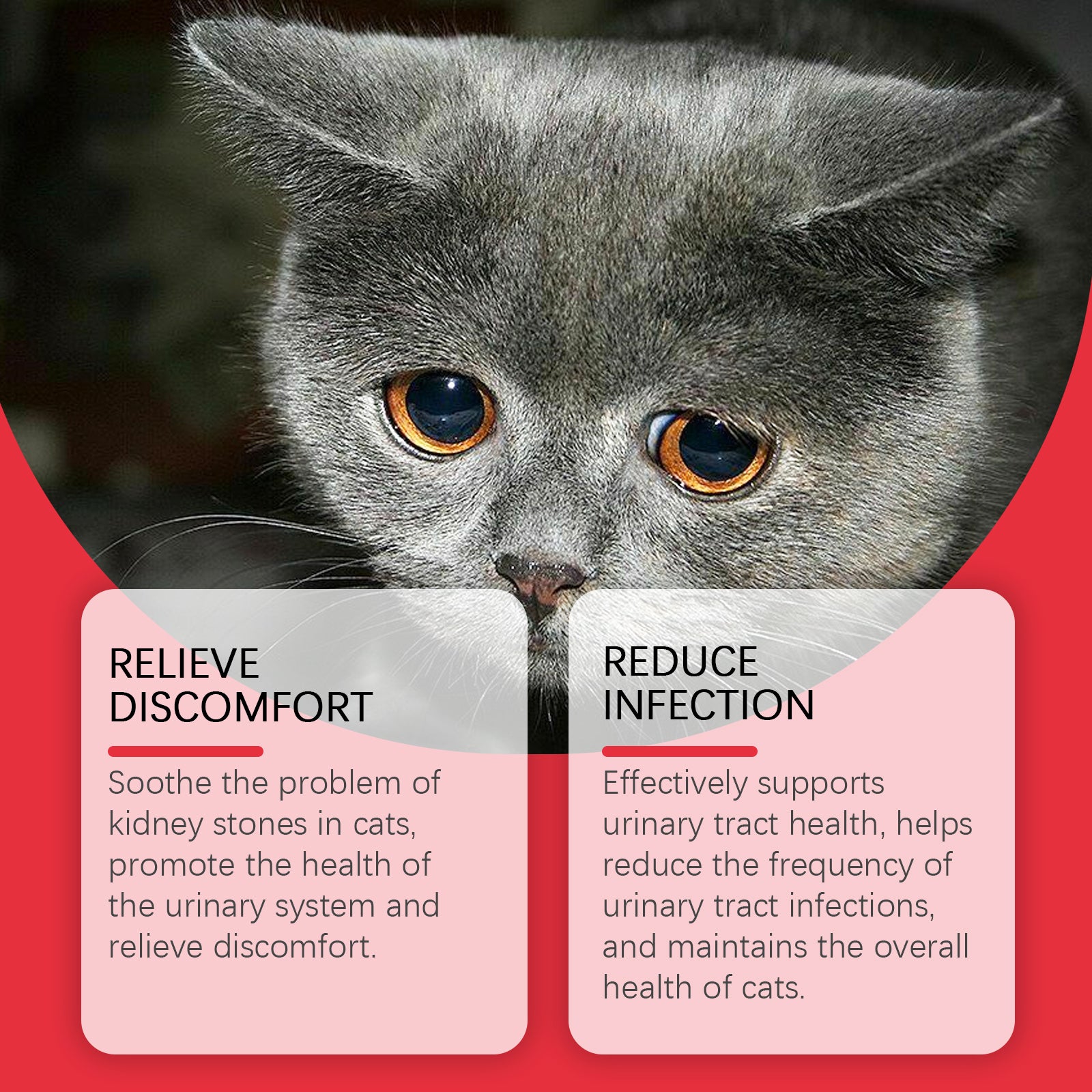 Yegbong Pet Dietary Supplement, Take Care Of The Pet Body Discomfort Cat To Absorb Nutritional Supplements