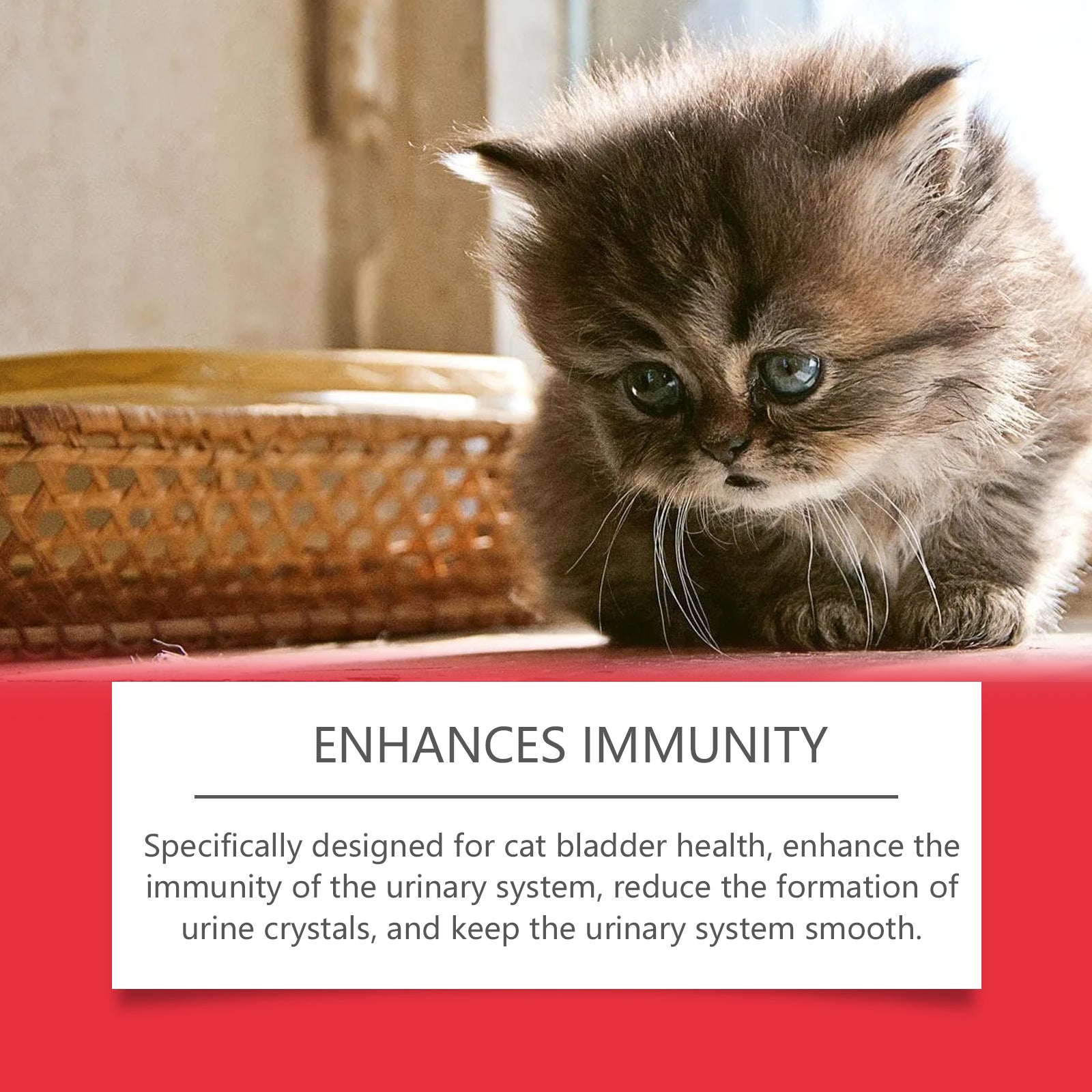 Yegbong Pet Dietary Supplement, Take Care Of The Pet Body Discomfort Cat To Absorb Nutritional Supplements