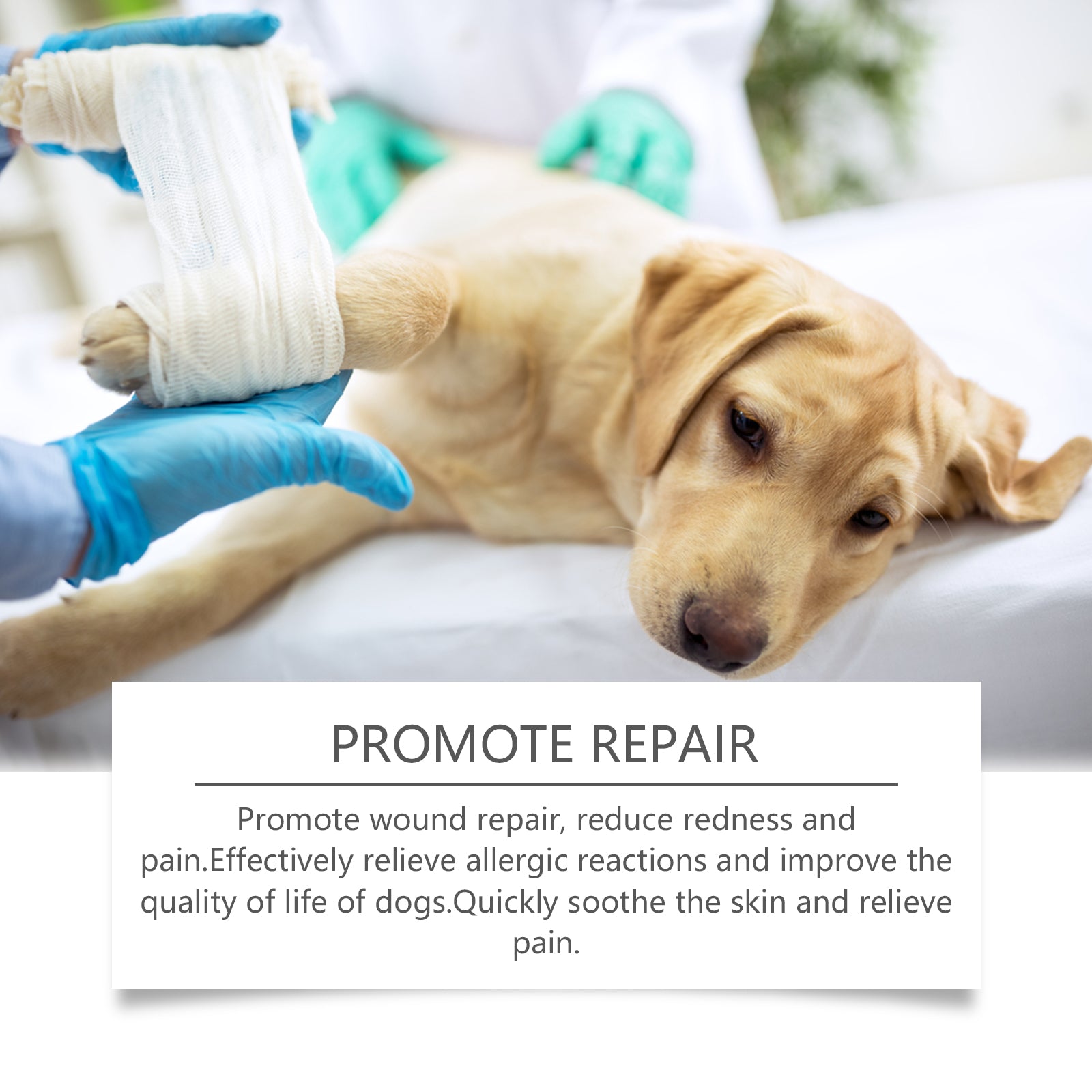 Yegbong Dog Care Spray, Clean Dog Care Pet Plant Essence Skin Care Spray
