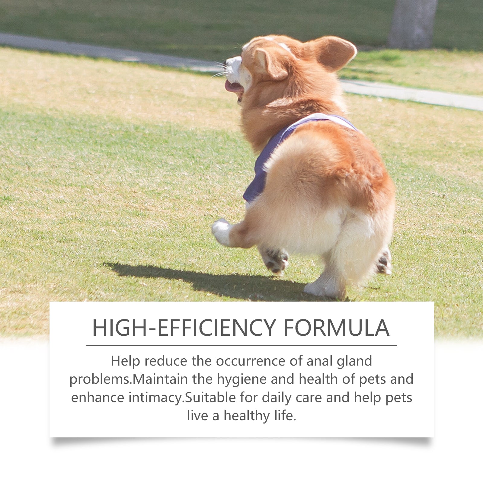 Yegbong Dog Anal Gland Odor Removal Spray, Mild Ingredients Fresh Clean Odor Removal After Potting Care
