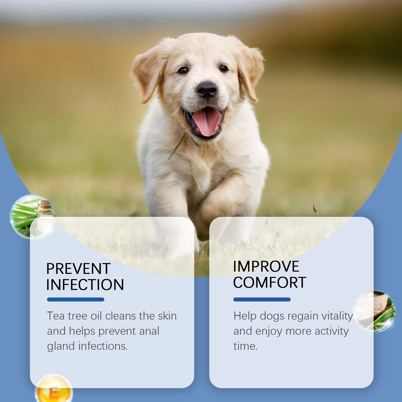 Yegbong Dog Anal Gland Odor Removal Spray, Mild Ingredients Fresh Clean Odor Removal After Potting Care
