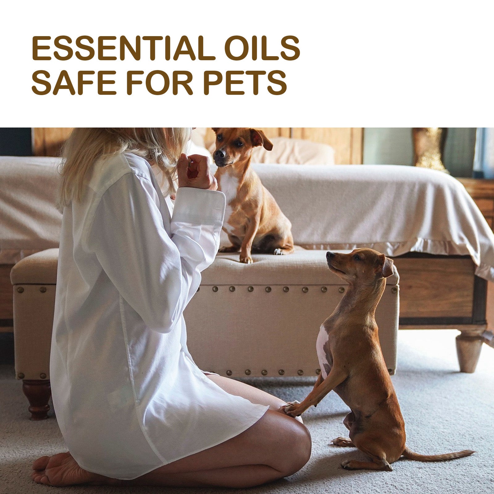 Yegbong Pet Care Oil, Relieve The Pain Of Pet Bones And Joints Body Muscle Care Essential Oil