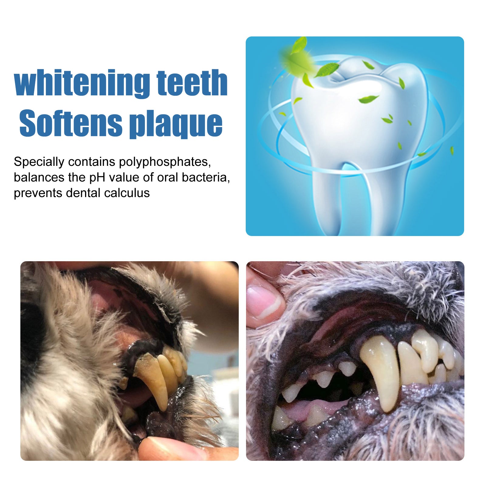 Yegbong Pet Tartar Remover, Removing Dental Calculus Yellow Teeth Halitosis Cleaning Teeth Mouth Foam Cleaner