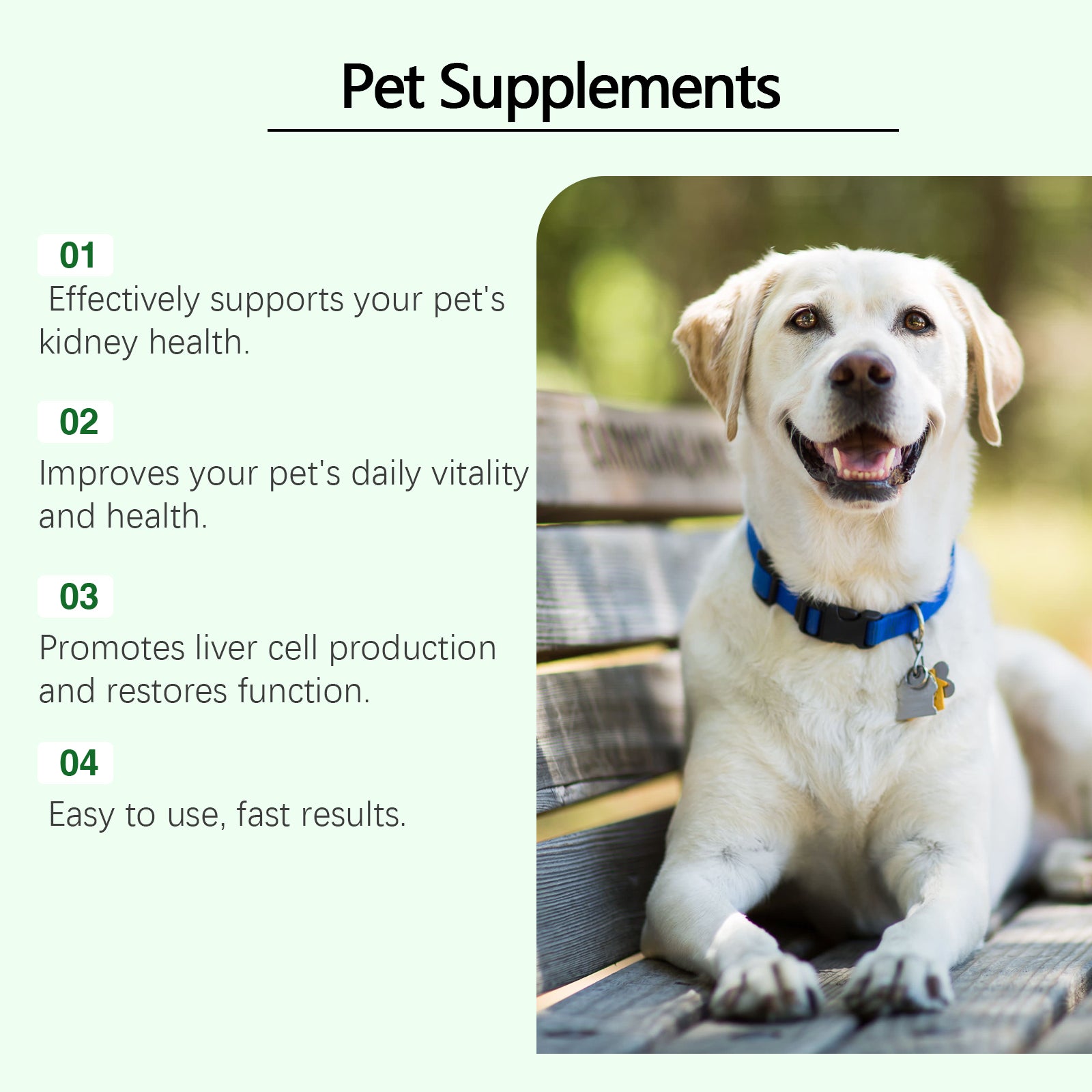Yegbong Pet Care Supplement To Enhance The Health Of Pets Gentle Ingredient Care Supplement
