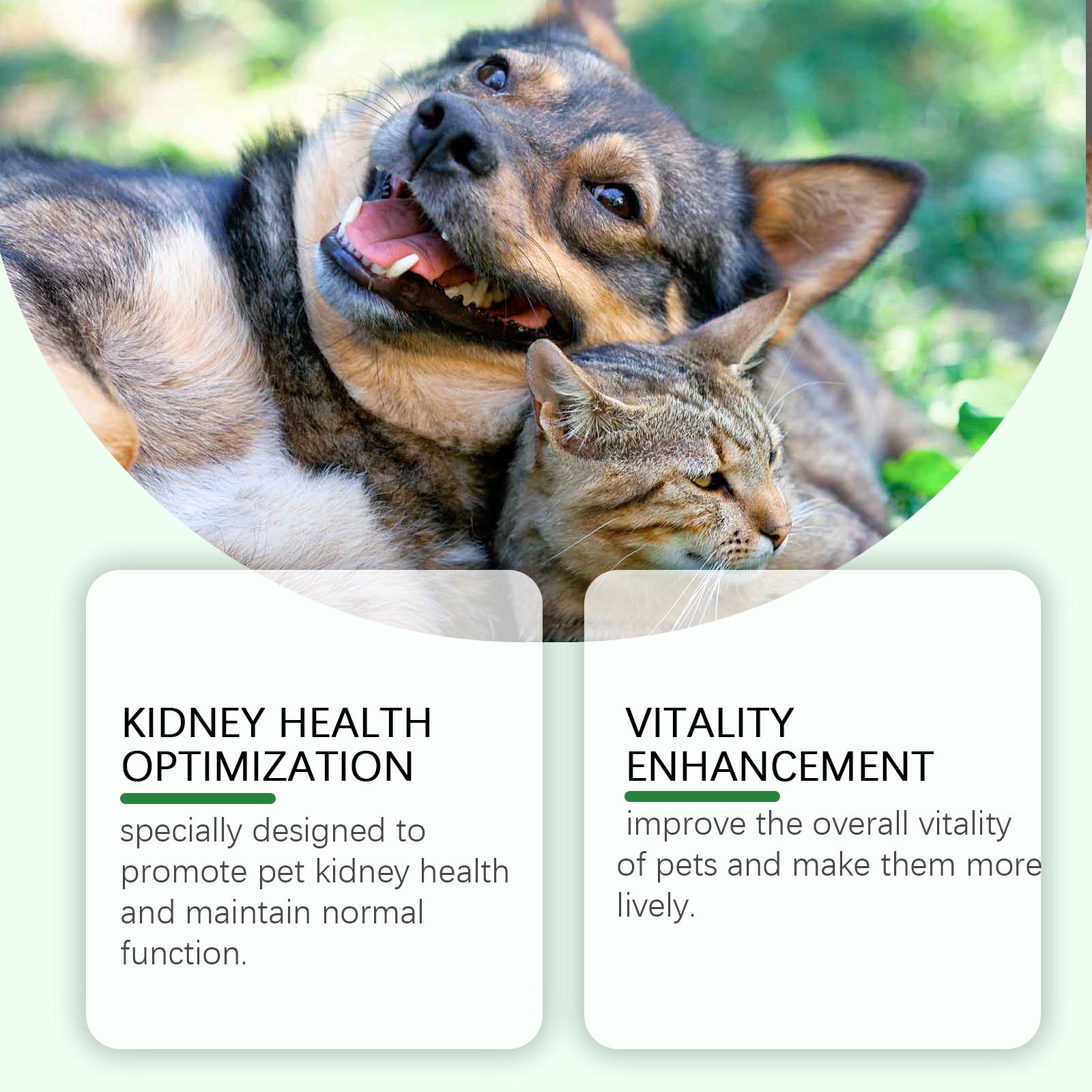 Yegbong Pet Care Supplement To Enhance The Health Of Pets Gentle Ingredient Care Supplement