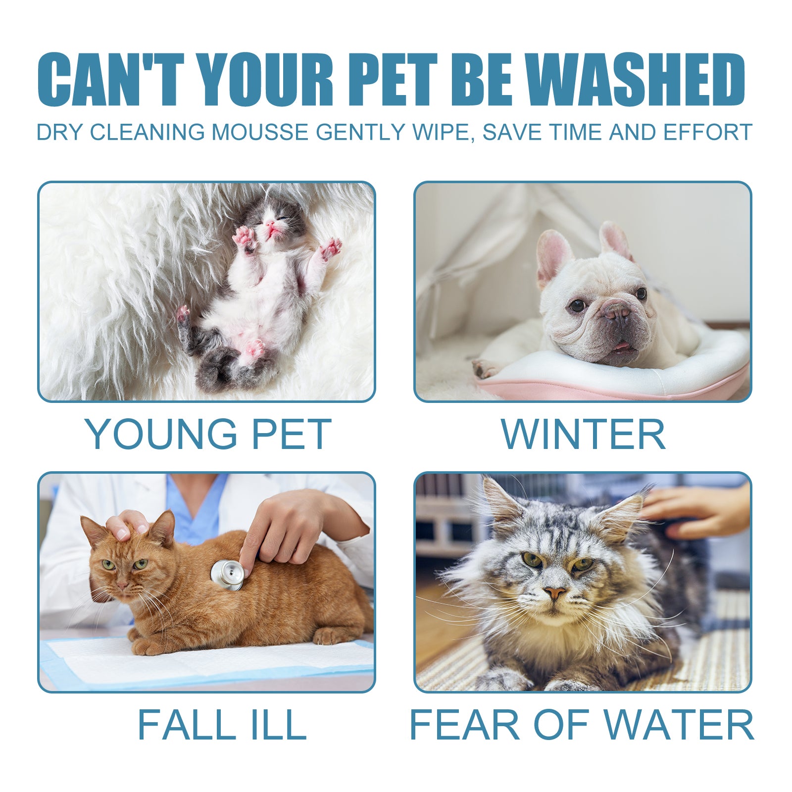Yegbong Pet Dry Cleaning Mousse Body Wash For Young Cats And Dogs Wash Free To Remove Odor And Smooth Hair Cleaning