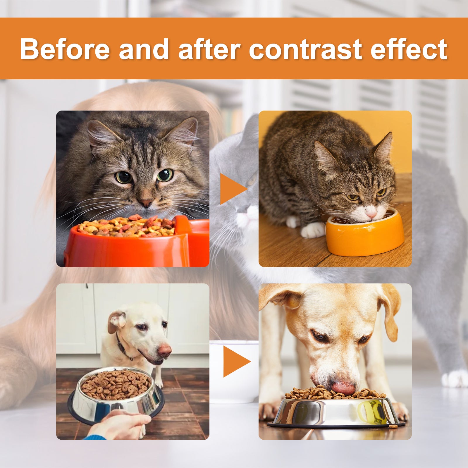 Yegbong Cat And Dog Care Essence, Hemp Seed Oil Enhanced Health Care Essence Pet Cat And Dog Food Conditioning Care