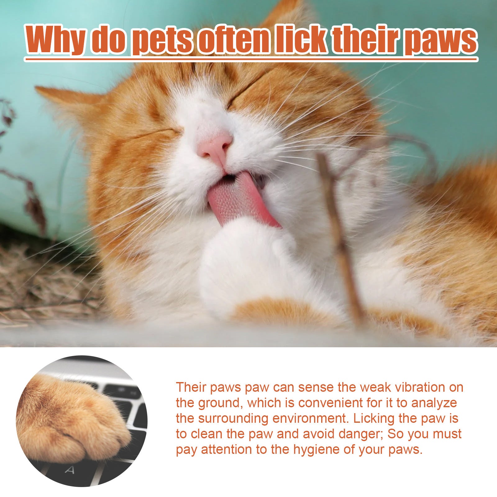 Yegbong Pet Foot Care Cream For Animals, Cats, Dogs And Paws Foot Care Cream For Soles And Pads