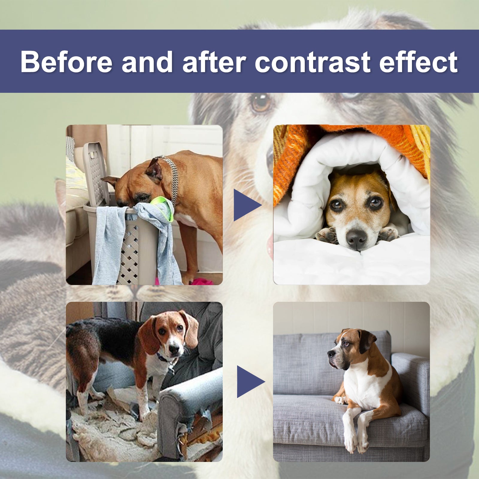 Yegbong Pet Bitter Anti-Biting Spray, Prevent Dogs Chewing Table And Chair Legs, Scratching Sofa Spray