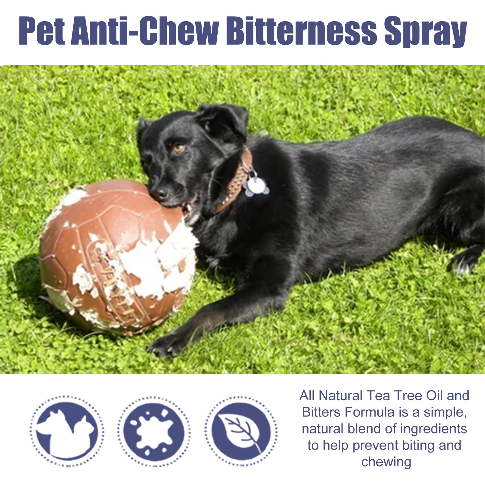 Yegbong Pet Bitter Anti-Biting Spray, Prevent Dogs Chewing Table And Chair Legs, Scratching Sofa Spray