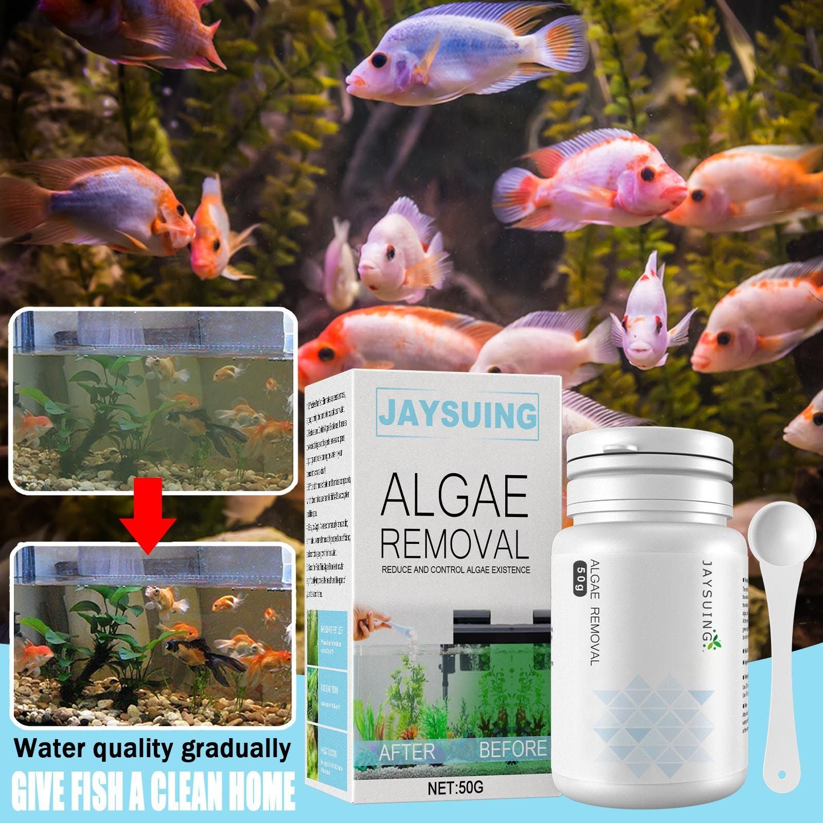 Jaysuing Algae Removal, Remove Green Water Remove Moss Agent Fish Tank Remove Moss Agent Aquarium Remove Algae Potion