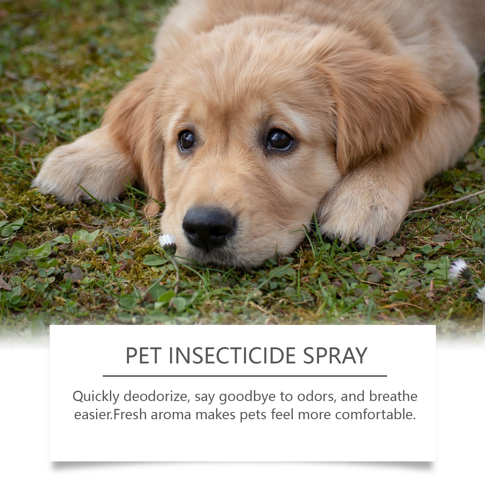 Yegbong Pet Deodorant Spray, Cat And Dog Flea Liquid Deodorant Body Deodorant Spray