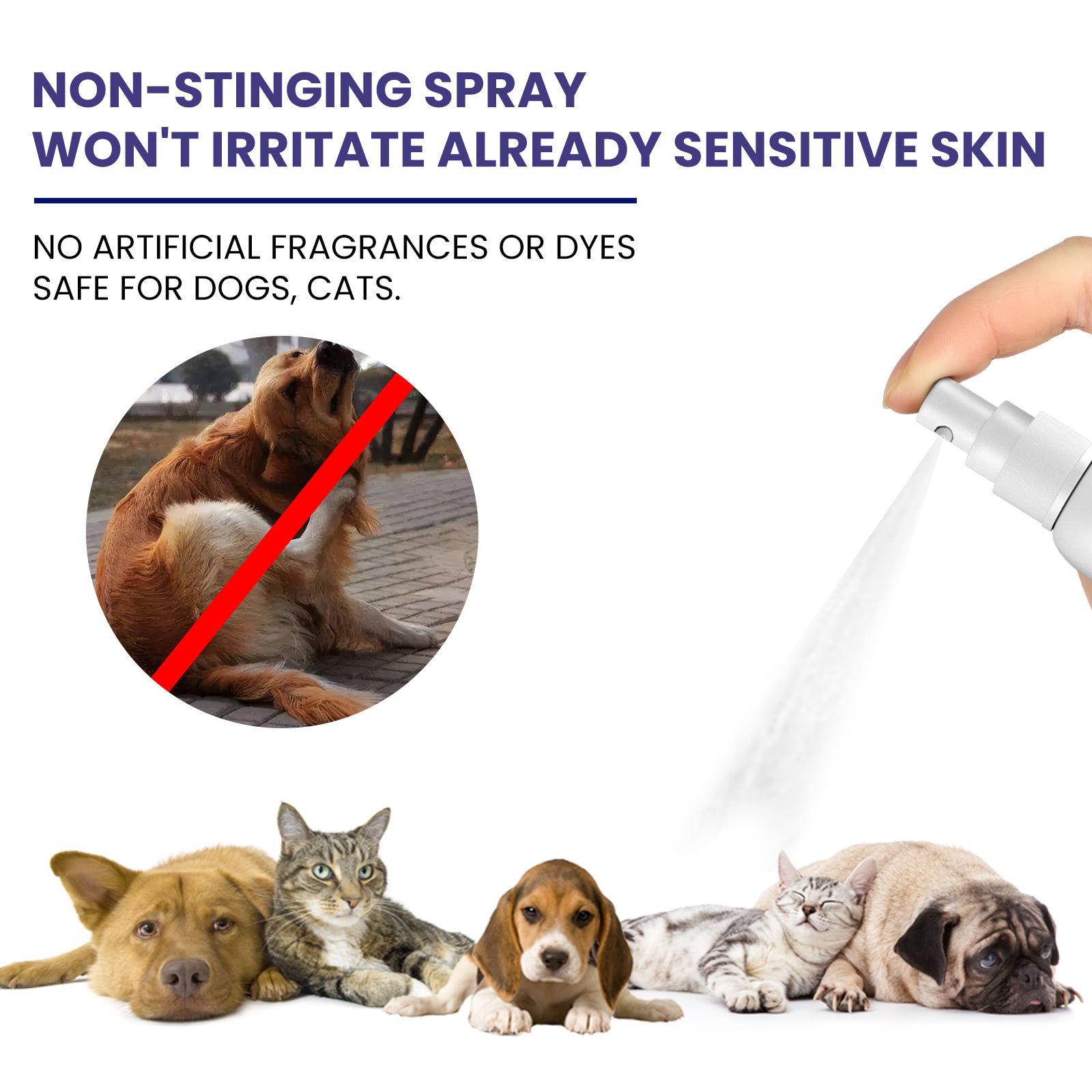 Yegbong Pet Anti-Itch Spray, Pet Universal Cleaning And Soothing Skin Fur For Anti-Mite Anti-Bug Anti-Itch Spray