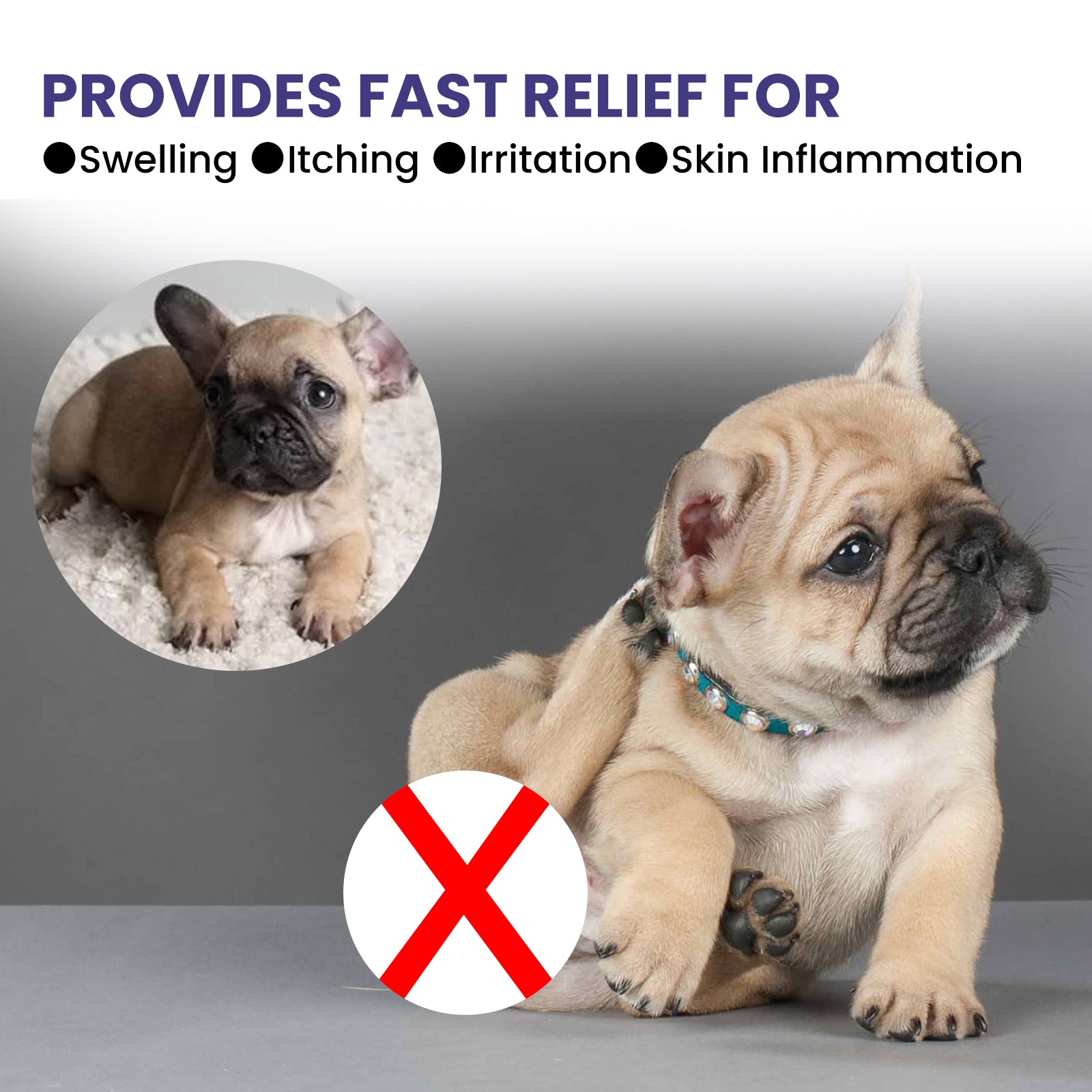 Yegbong Pet Anti-Itch Spray, Pet Universal Cleaning And Soothing Skin Fur For Anti-Mite Anti-Bug Anti-Itch Spray