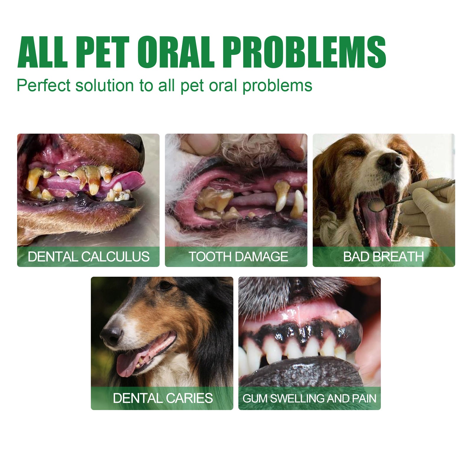 Yegbong Pet Tooth Deodorizer Spray, Cats And Dogs Universal Mouth Cleaning Breath Freshening Spray