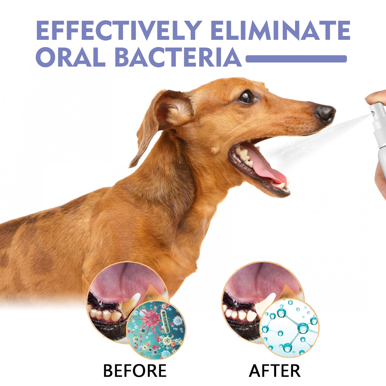 Yegbong Tooth Cleaning Spray For Cats And Dogs, Remove Tooth Stains Fresh Breath Pets Oral Care Spray