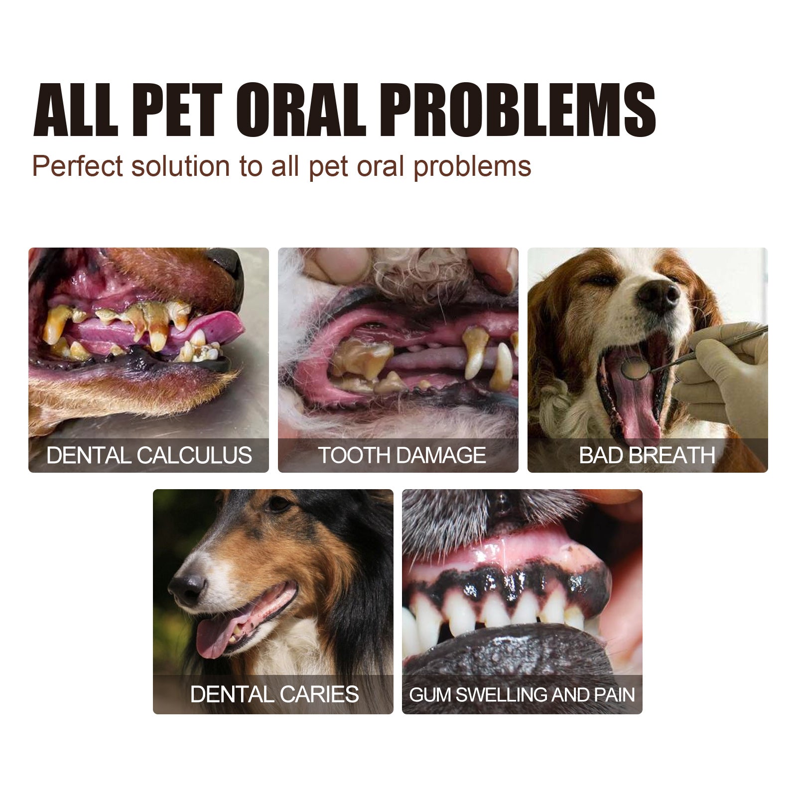 Yegbong Pet Tooth Cleaning Spray, Cats And Dogs Removal Tartar Stains Bad Breath Oral Cleaning Spray