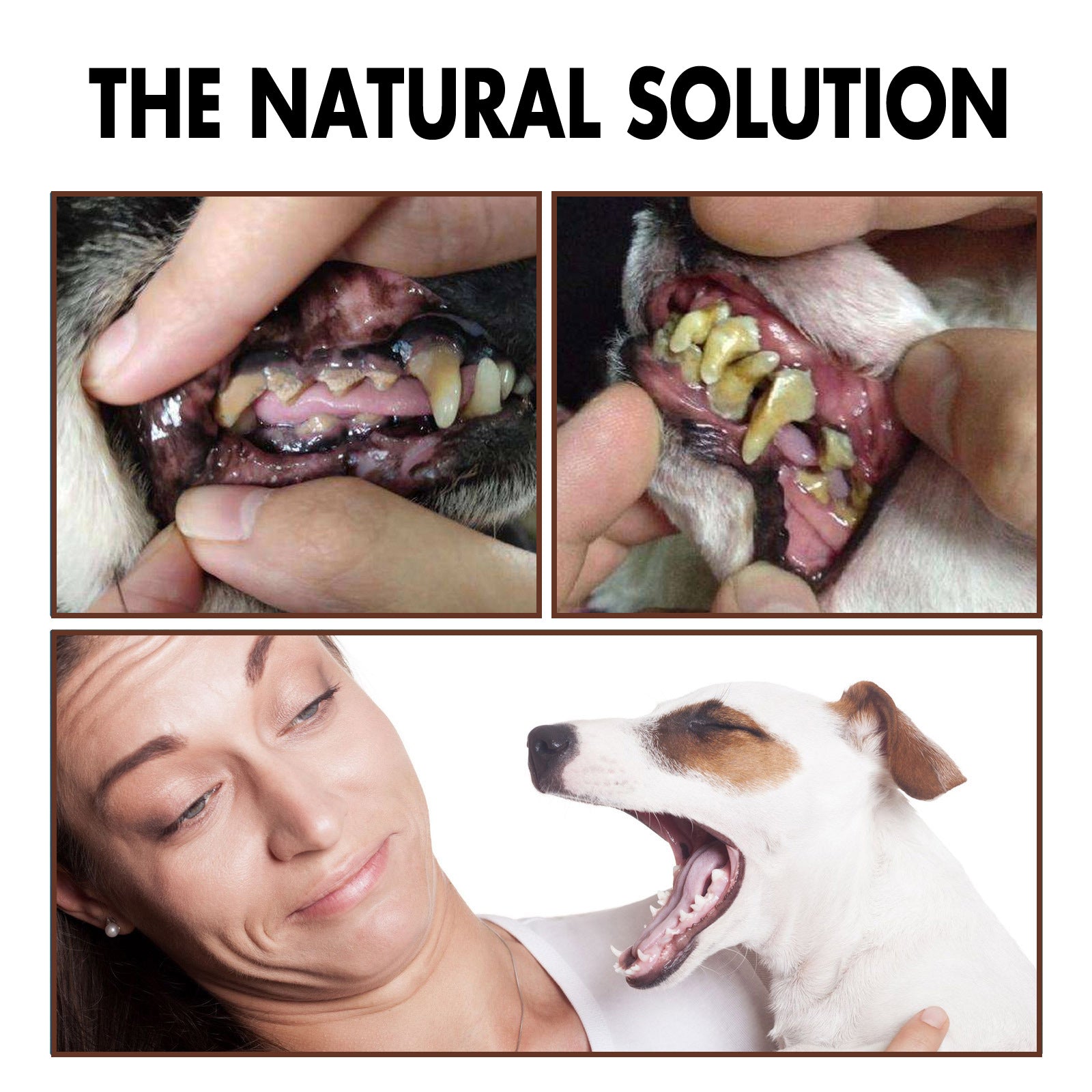 Yegbong Pet Tooth Cleaning Spray, Cats And Dogs Removal Tartar Stains Bad Breath Oral Cleaning Spray