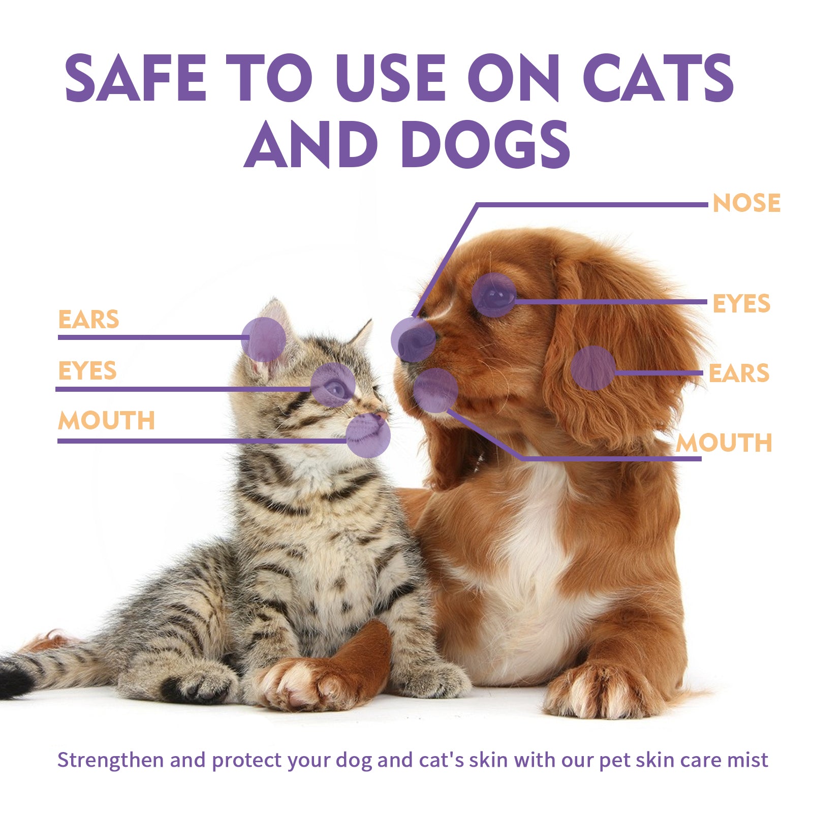 Yegbong Pet Skin Relief Spray, Relieves Dog And Cat Skin Itchiness Eliminates Mites Cleaning Care Spray