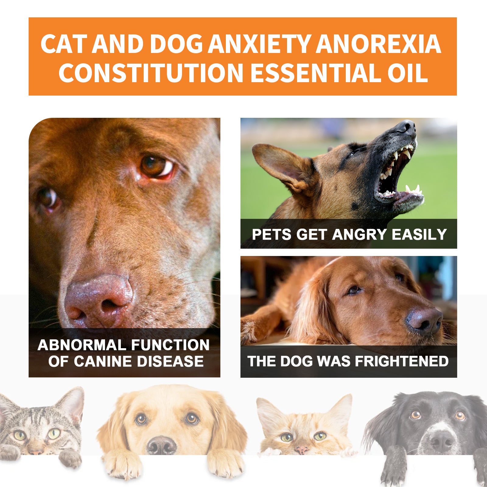 Yegbong Cat And Dog Care Essence, Pet Cat And Dog Enhance Health Eat Care Sesame Seed Oil Essence