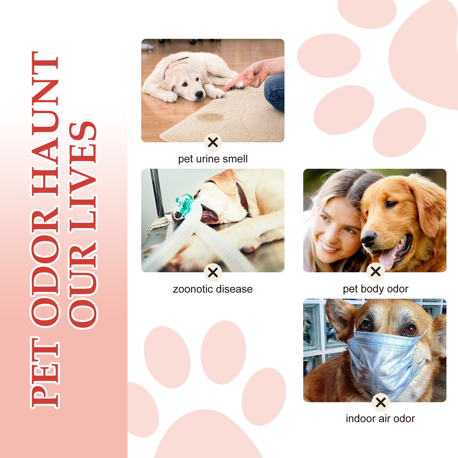 Yegbong Pet Deodorant Spray, Indoor Cat And Dog Deodorizer Stay Fragrance Refreshing Spray