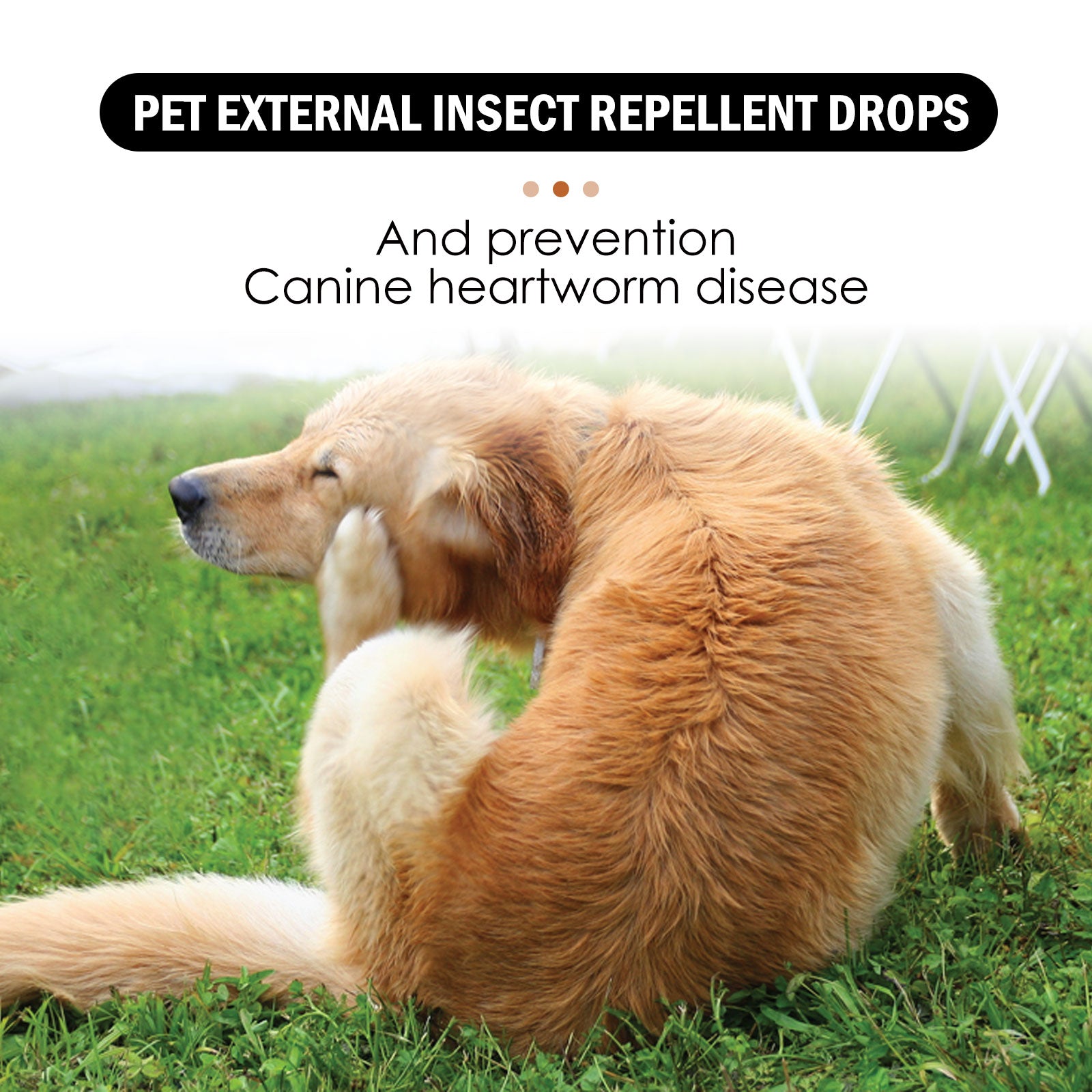 Yegbong Pet Extracorporeal Insect Repellent Drops, Cats And Dogs Clean To Remove Ticks And Fleas Drops