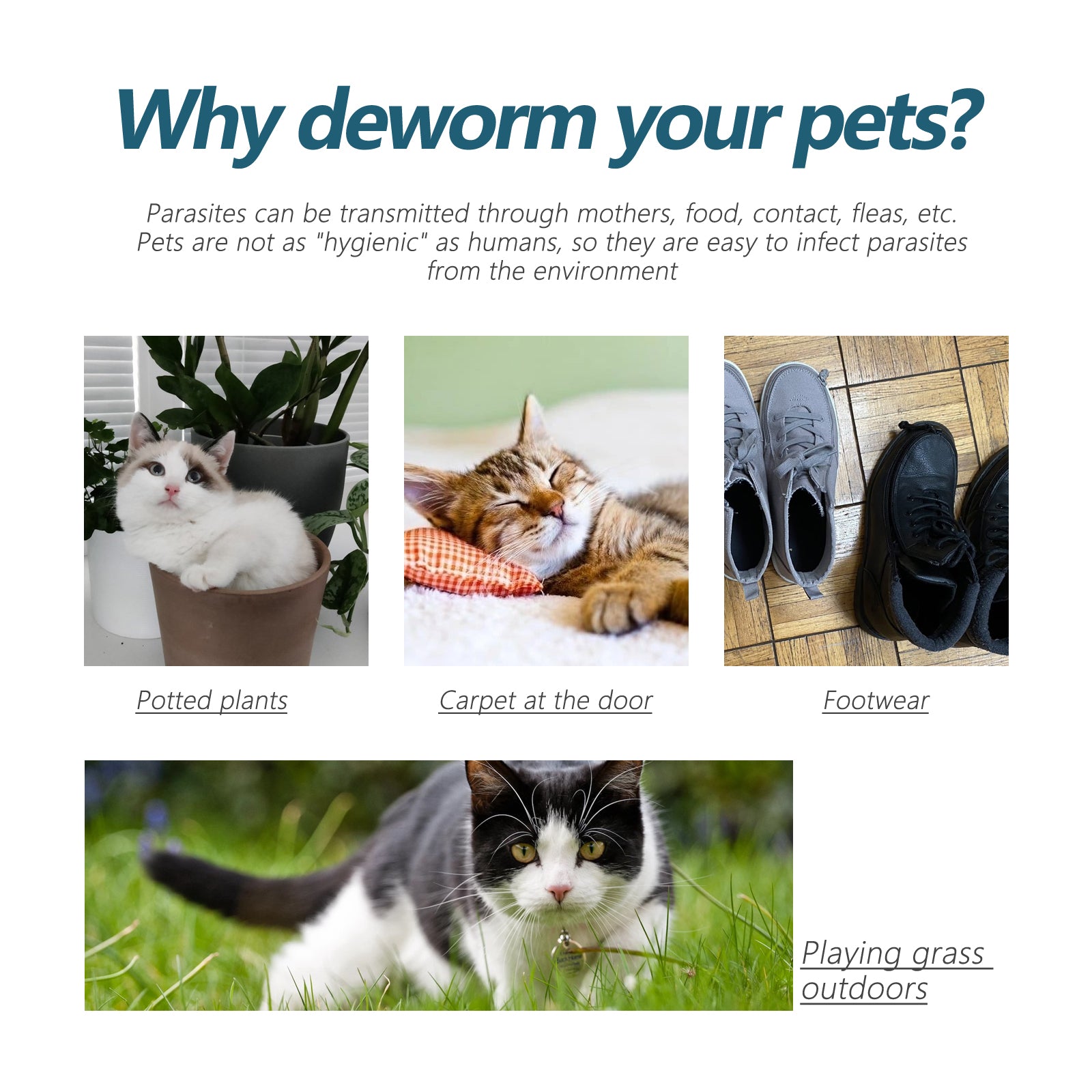 Yegbong Pet Anti-Flea Tick Agent, External Deworming Skin Cleaning Tick Drops For Cats And Dogs