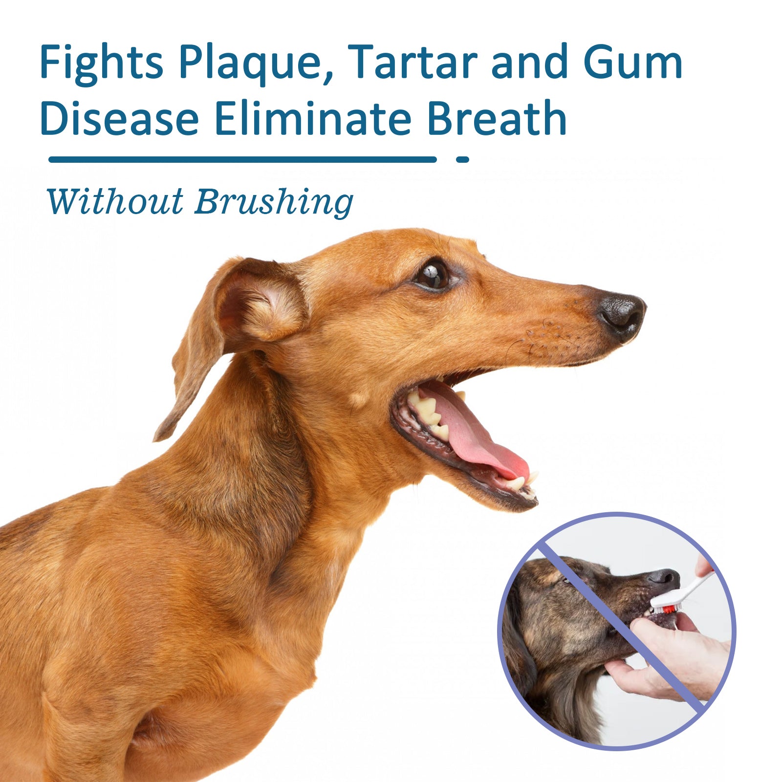 Yegbong Pet Oral Cleaning Spray, Cats And Dogs Remove Tartar And Bad Breath Fresh Mouth Care Spray