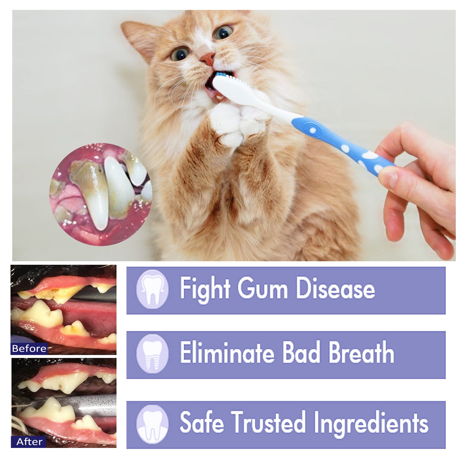 Yegbong Pet V34 Toothpaste, Pet Clean Bad Breath Tartar Care Gum Care Toothpaste