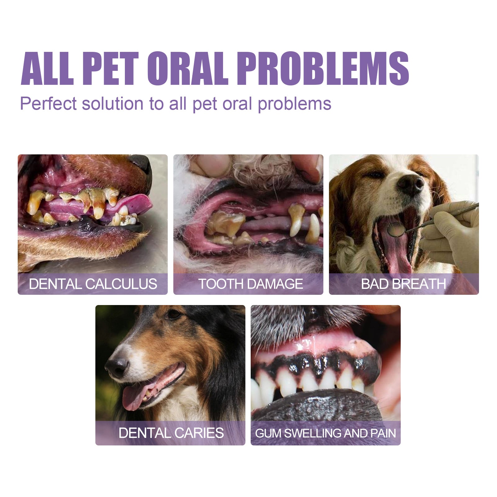 Yegbong Pet Oral Repair Gel, Deep Cleaning Dog And Cat Tooth Stains Oral Cleaning Care