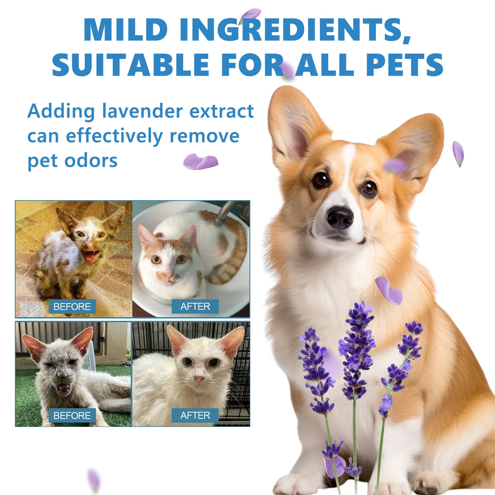 Yegbong Pet Leave-In Serum Set For Cats And Dogs To Clean Hair Fluffy, Soft And Fragrance Care Essence