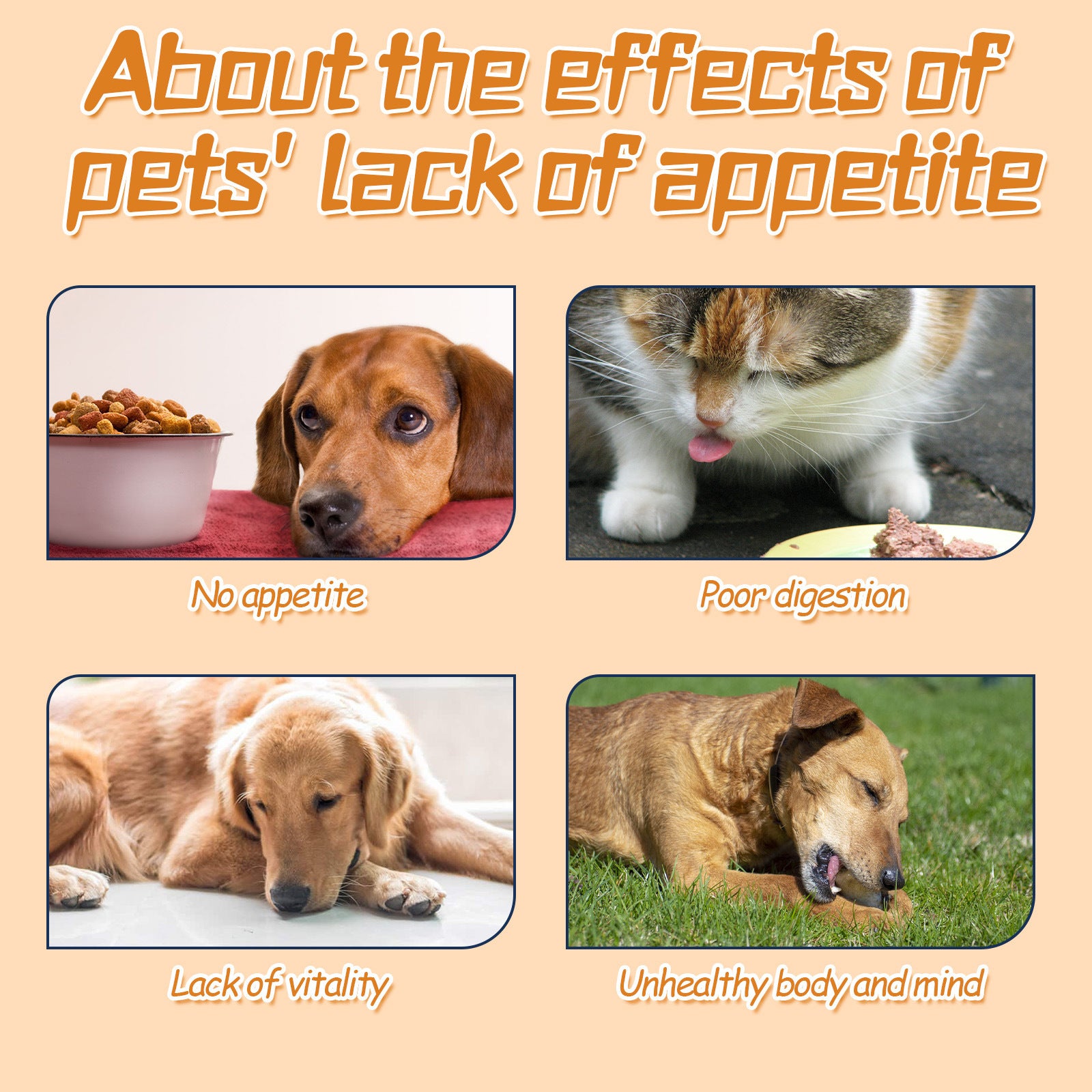 Yegbong Pet Drops For Every Pets, Energizing And Nourishing Pet Health Care Drops