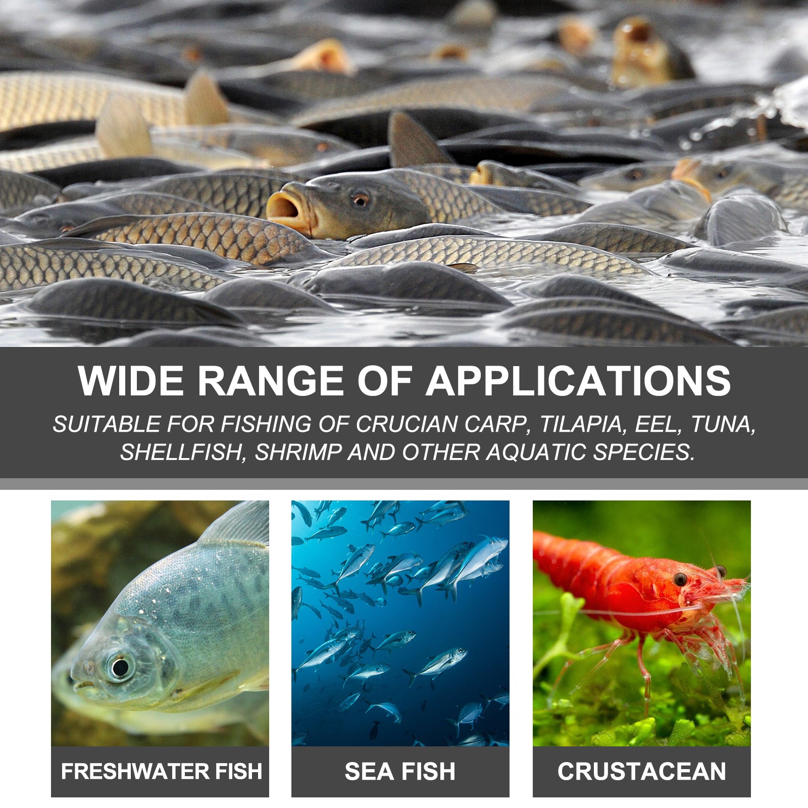 Yegbong Bait Attractant, Reservoir Bait Fishing Bait Fish Portable Fish Primer