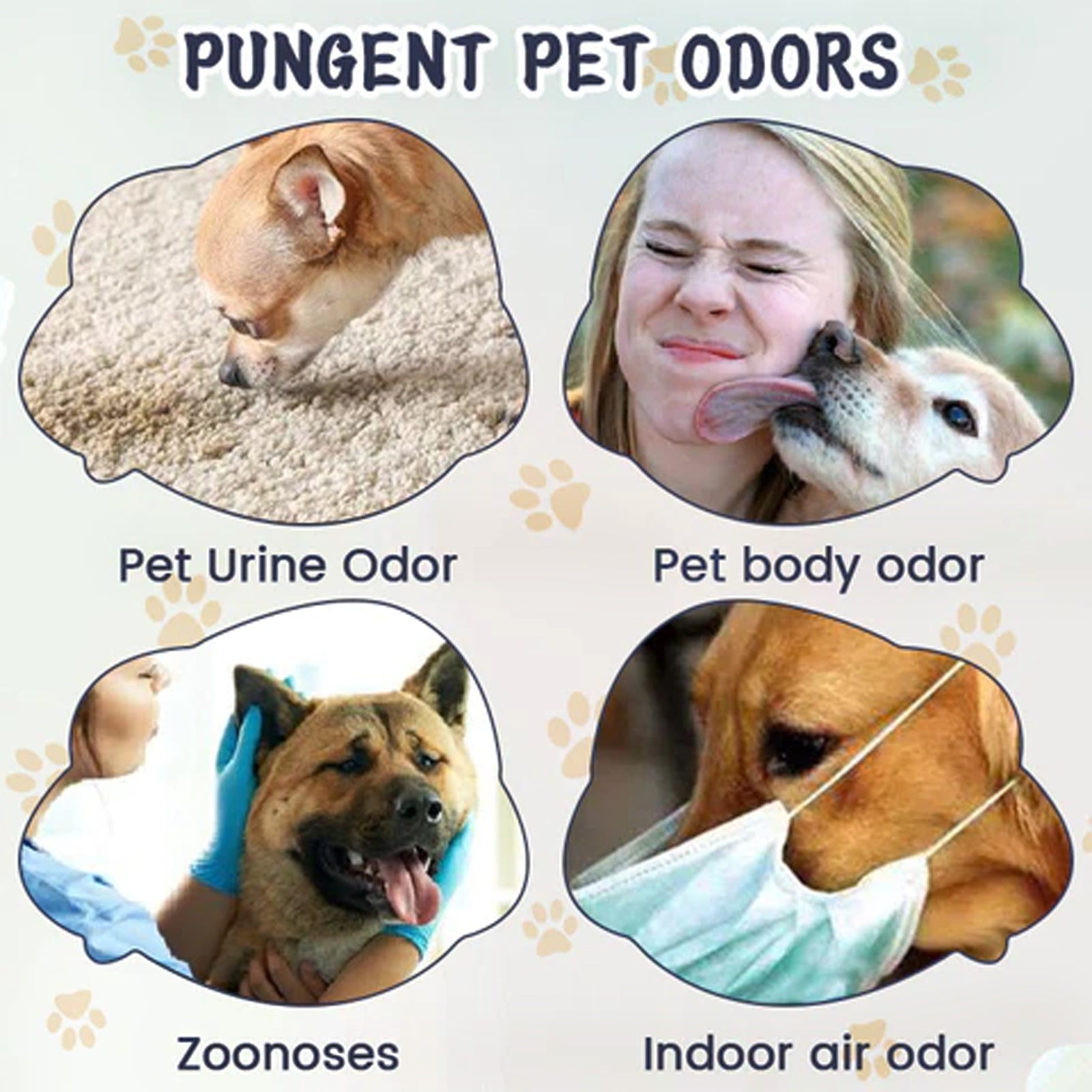 Yegbong Pet Odor & Stain Eliminator, Clean Dog And Cat Body Odor Feces Odor Removal Indoor Fresh Deodorizer