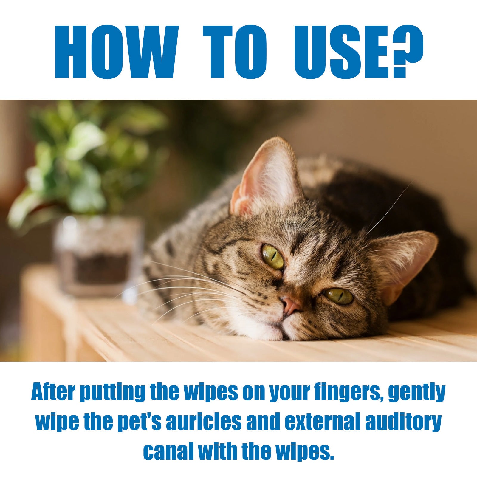 Yegbong Pet Finger Wipes, Ear Care Finger Cover Ear Wax Ear Mite Cleaning Care