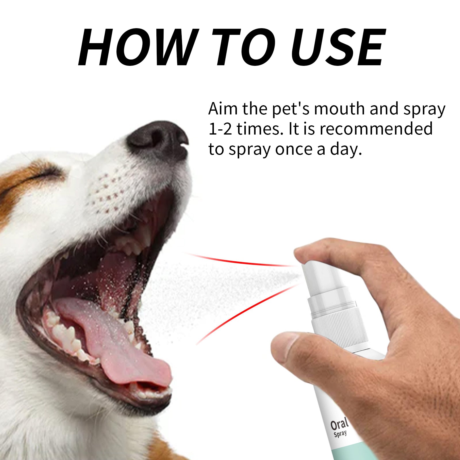 Yegbong Pet Mint Fresh Breath Spray, Clean Your Dog's Bad Breath Fresh Breath Care