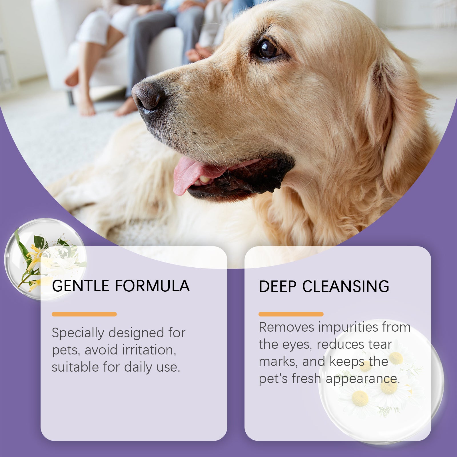 Yegbong Gentle Eye Wash For Pets Gently Cleans The Eye Dirt Of Pet Cats And Dogs