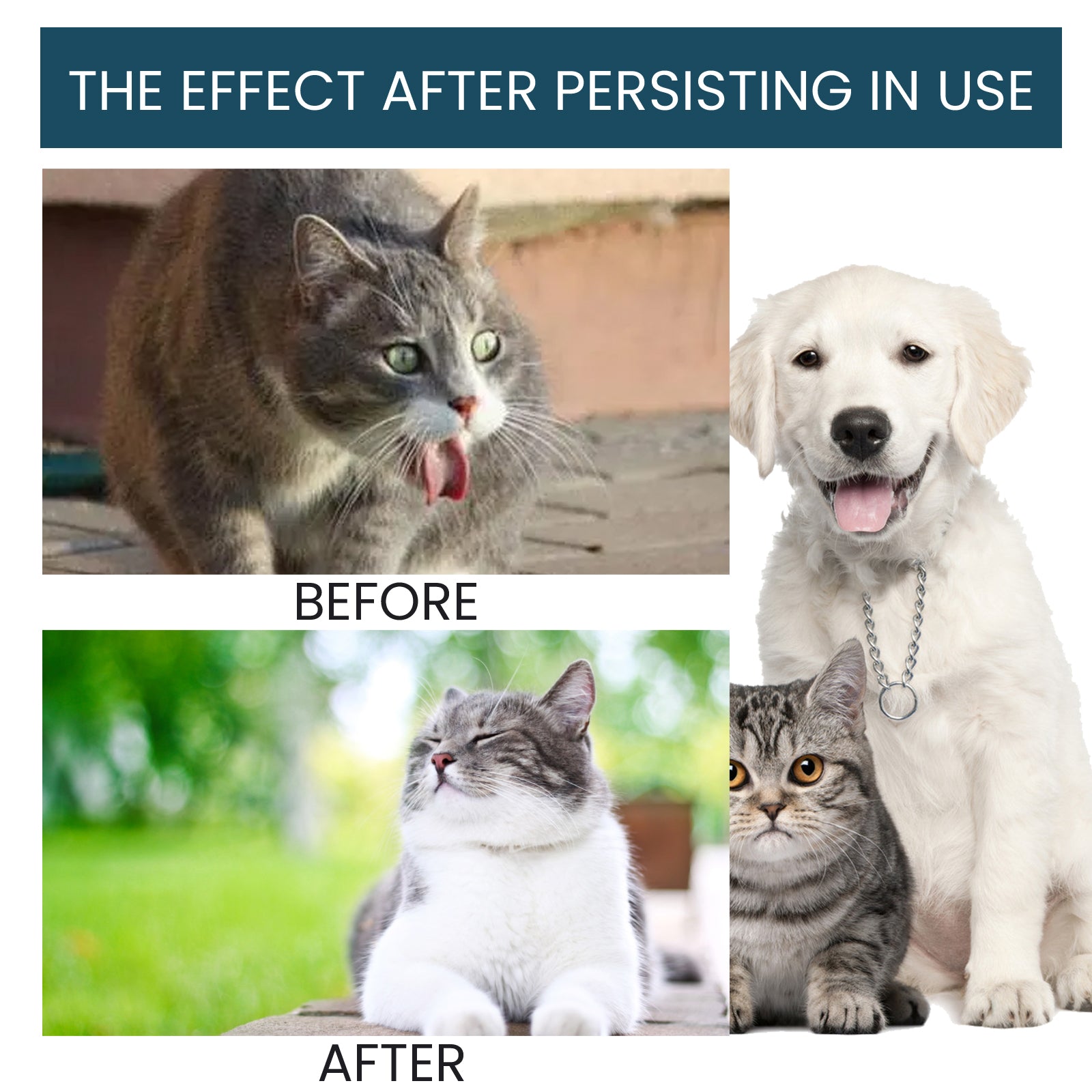 Yegbong Pet Immune Oral Drops, Special Nutritional And Immune Health Drops For Cats And Dogs