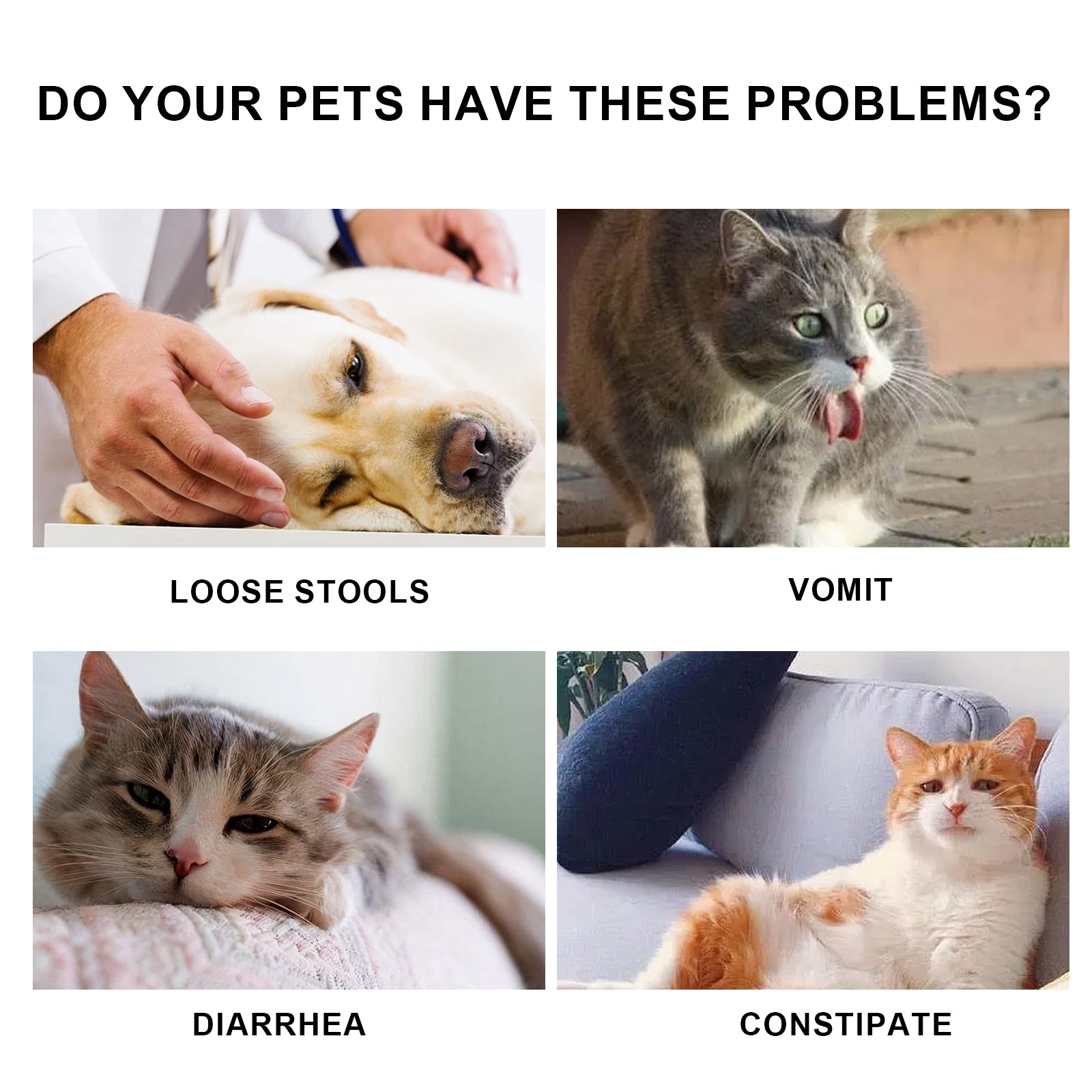 Yegbong Pet Immune Oral Drops, Special Nutritional And Immune Health Drops For Cats And Dogs