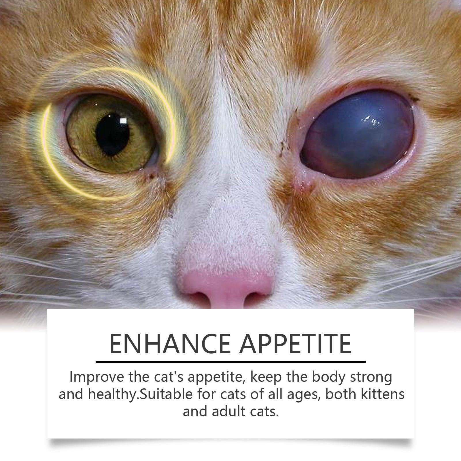 Yegbong Compound Taurine Tablets For Cats Nutritional Supplement Multi-Dimensional Taurine Tablets For Cats
