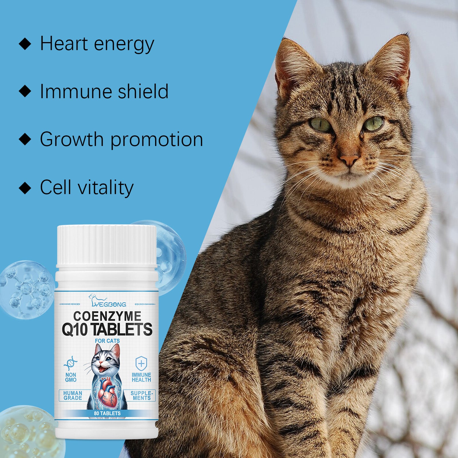Yegbong Cats Protect Health And Vitality With Coenzyme Tablets Coenzyme Q10 For Cats To Absorb Nutritional Supplements