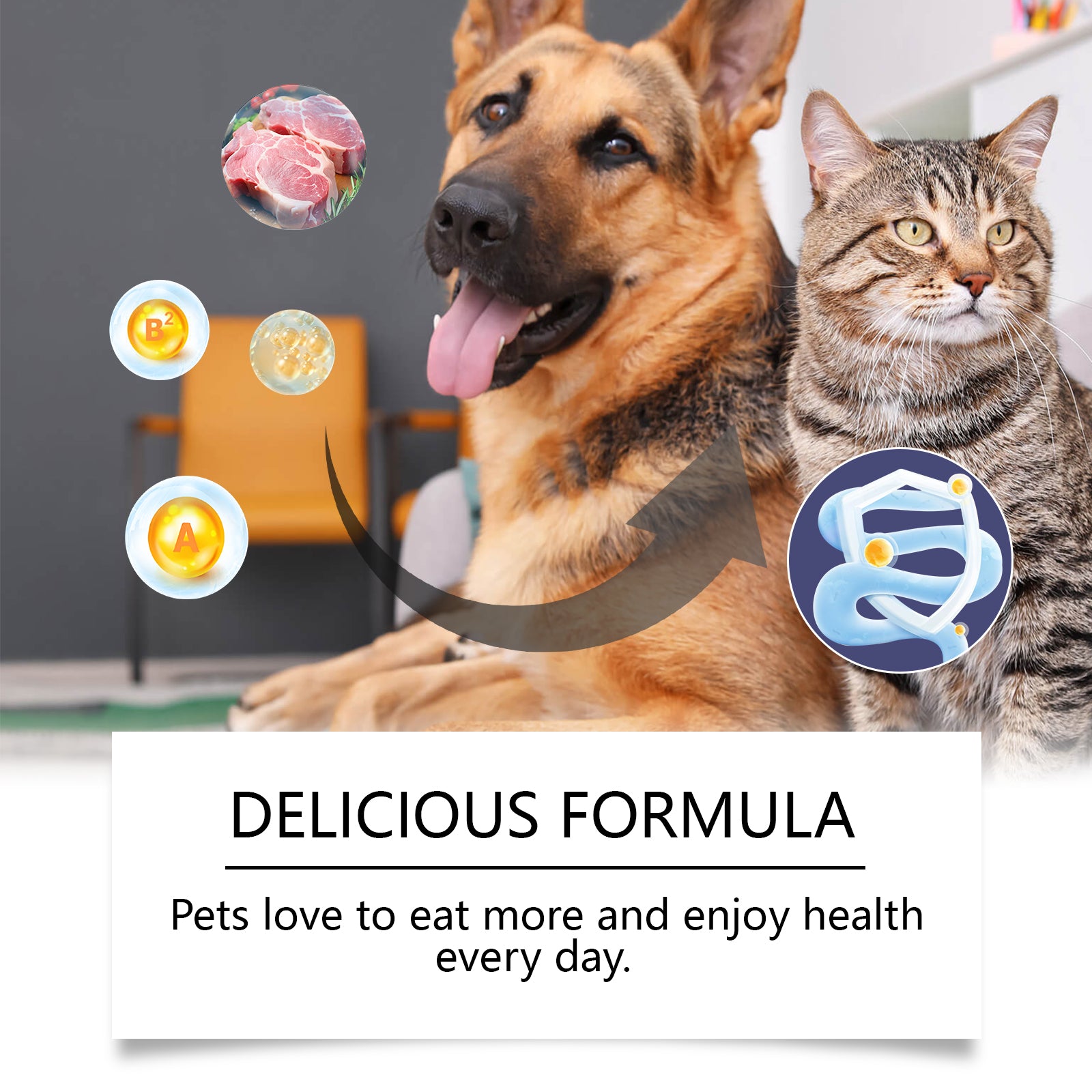 Yegbong Cats And Dogs General Compound Probiotic Tablets, Pets Absorb Nutrition Supplement Tablets Dog And Cat Nutrition